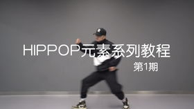 hiphop舞蹈理論知識,hiphop基礎(chǔ)舞蹈教學,hiphop舞蹈歷史文化知識