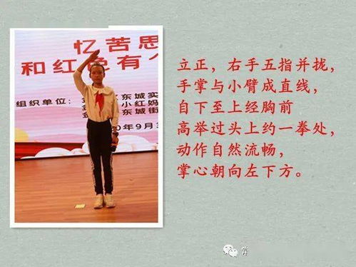 少先隊基礎(chǔ)知識和隊禮儀訓(xùn)練
