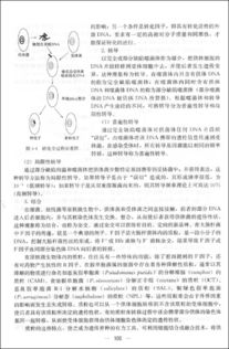 水微生物學(xué)基礎(chǔ)知識