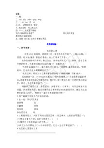 小學(xué)語(yǔ)文二級基礎知識教研