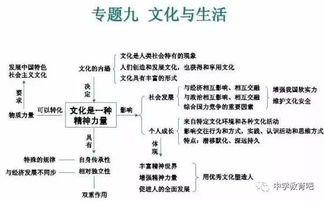 初三政治第l六課基礎知識匯總