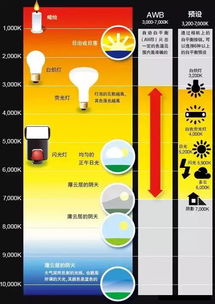 攝影基礎(chǔ)知識白平衡