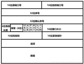 計算機網(wǎng)絡(luò )基礎知識簡(jiǎn)答題