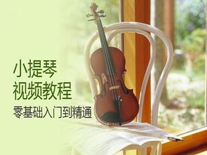 小提琴基礎知識教學