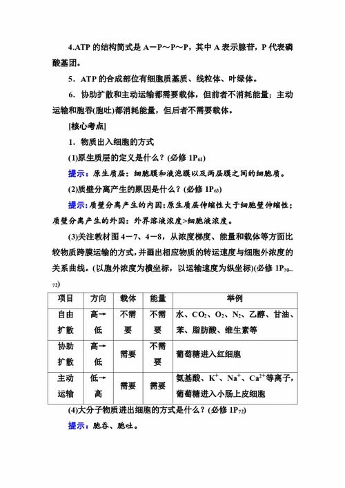 語(yǔ)句,基礎知識,重要性