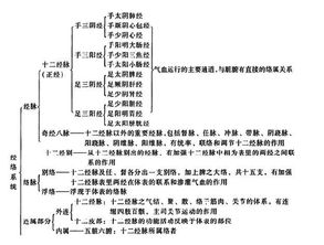 中醫基礎知識面試題