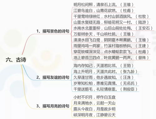 中小學(xué)生,基礎知識,必備,思維