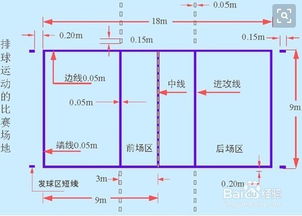 大學(xué)排球基礎知識