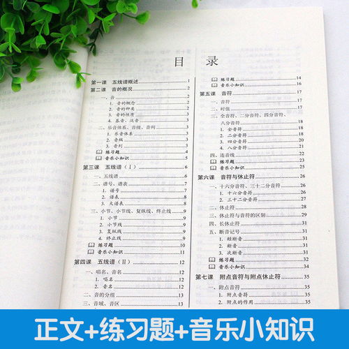 簡譜,樂理,基礎知識,入門教程