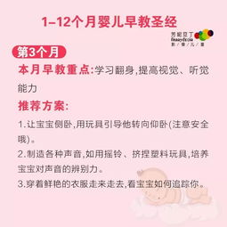 圣經,基礎知識