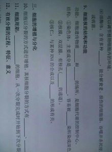 高三生物知識(shí)點(diǎn)基礎(chǔ)知識(shí)填空