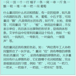 基礎(chǔ)知識(shí),語(yǔ)文,考試,初一上