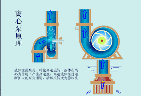 泵的密封環(huán)基礎知識