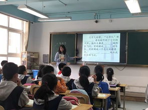 夯實,基礎知識,小學,教學