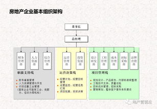 基礎(chǔ)知識,流程,經(jīng)營