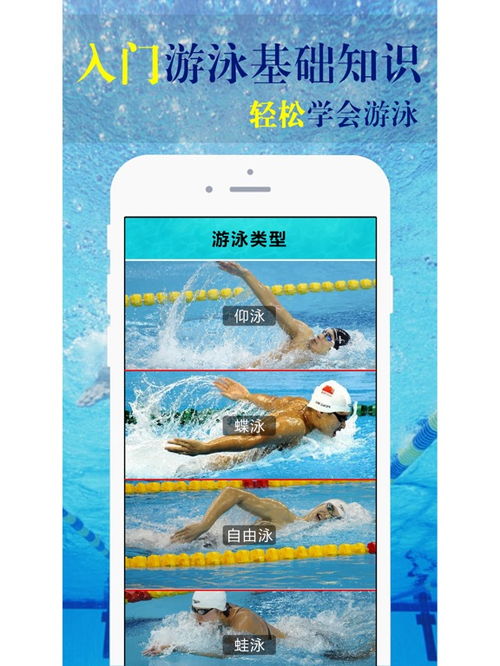 蛙泳的幾個基礎(chǔ)知識