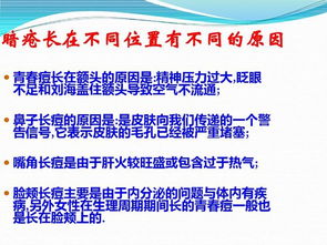 皮膚基礎知識學(xué)