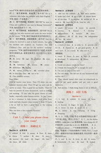 組合,英語(yǔ),基礎知識,八級