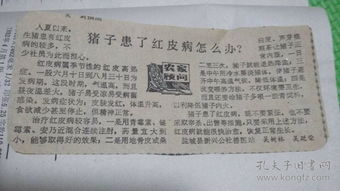 養豬基礎知識71講