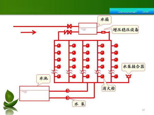 共青團(tuán)基礎(chǔ)知識庫,小學(xué)基礎(chǔ)知識庫,基礎(chǔ)藥學(xué)知識庫