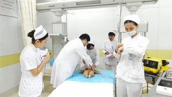 護士三基三嚴預防醫學(xué)基礎知識