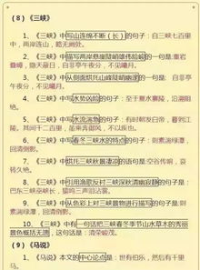 基礎知識在初中語(yǔ)文的重要性