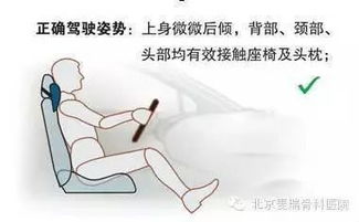 車輛駕駛員職業(yè)健康基礎(chǔ)知識(shí)