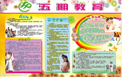 計劃生育基礎知識教育教案,計劃生育基礎知識試題,計劃生育基礎知識培訓內(nèi)容