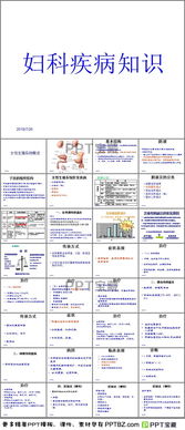 基礎知識,生殖系統(tǒng),女性,ppt