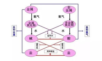 注重基礎知識的積累,注重基礎知識的教學(xué),如何注重學(xué)生對基礎知識的理解和掌握