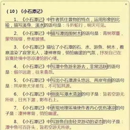 語(yǔ)文基礎知識不扎實(shí)要怎么做