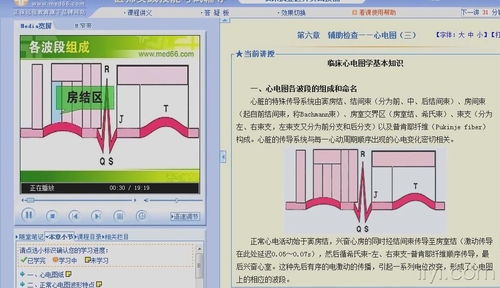 心電圖,基礎知識,教學(xué)