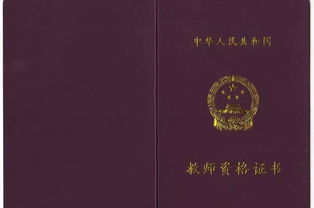 教師資格證計算機基礎知識