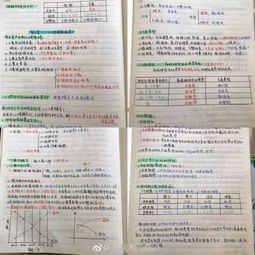 人體解剖學基礎(chǔ)知識筆記,鋼琴基礎(chǔ)知識筆記,pr基礎(chǔ)知識筆記