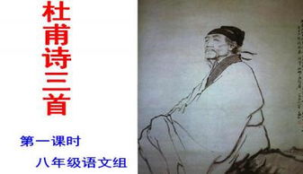 望岳基礎知識聯系
