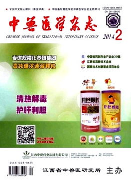 中國,基礎設施,簡(jiǎn)稱(chēng),知識