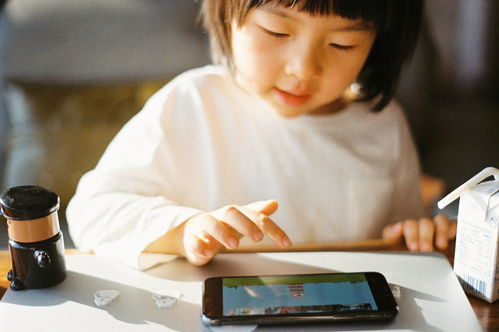 幼兒在編教育基礎知識