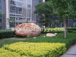 關(guān)于種植玉米的基礎知識,農業(yè)種植基礎知識,綠化基礎知識試題