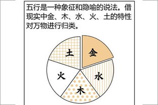 八字入門(mén)基礎知識教程