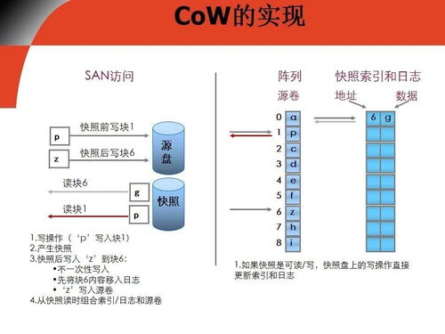 基礎知識,多種,區別