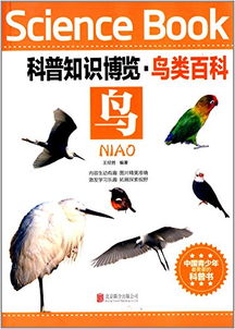 口紅分類(lèi)基礎(chǔ)知識(shí),芯片分類(lèi)基礎(chǔ)知識(shí),疤痕分類(lèi)基礎(chǔ)知識(shí)
