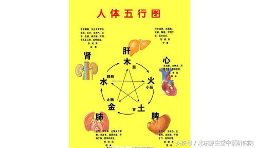 中醫藥基礎知識陰陽(yáng)五行學(xué)說(shuō)