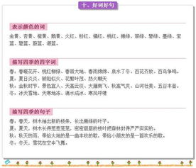 小結,基礎知識,語(yǔ)文教師,測試