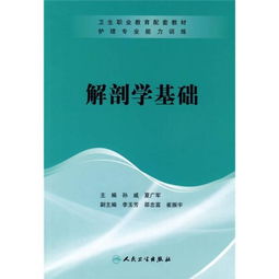 護理解刨學(xué)基礎知識