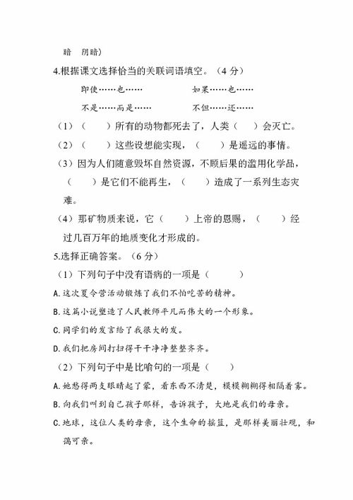 小學(xué)六級語(yǔ)文基礎知識試