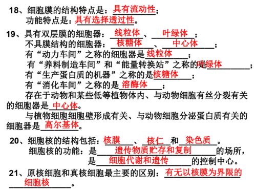 高一生物基礎知識背誦清單