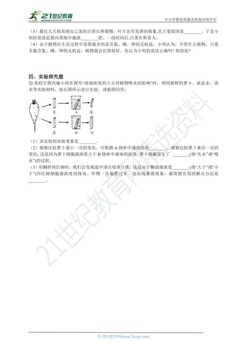第四章植物分類的基礎知識