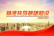 扶貧基礎(chǔ)業(yè)務(wù)知識
