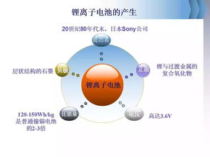 鋰基礎(chǔ)知識的書