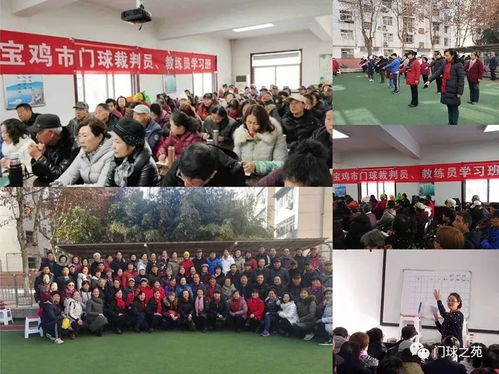 中國門(mén)球基礎知識